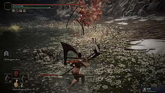 I solo'_d malenia but had a nude mod on so i couldn'_t upload it anywhere else Thumb