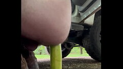 Fucking my ass with a cucumber Thumb