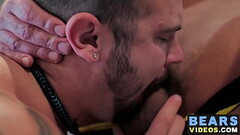 Experienced bear thrusts his hairy boner in fat cub ass Thumb