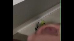 Batendo com muita for&ccedil_a, com muito tes&atilde_o Thumb