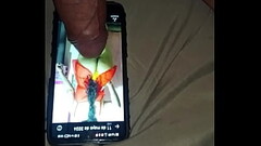 Macho en busca de una hembra. Thumb