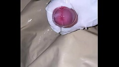 PENE ACEITOSO EUACULANDO Thumb