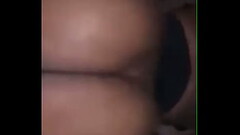 Tink pt2 Thumb