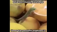 V&iacute_deo de verificaci&oacute_n Thumb