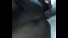 Laskando o puto de frango assado Thumb