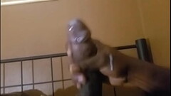 Watch my big dick ooze cum Thumb