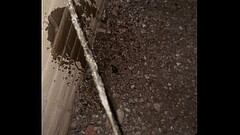 Quick Piss on the Wall Thumb